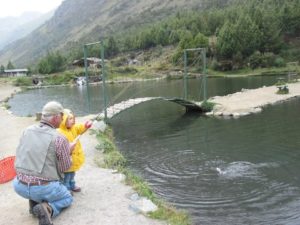 Allie catching fish with Granddaddy